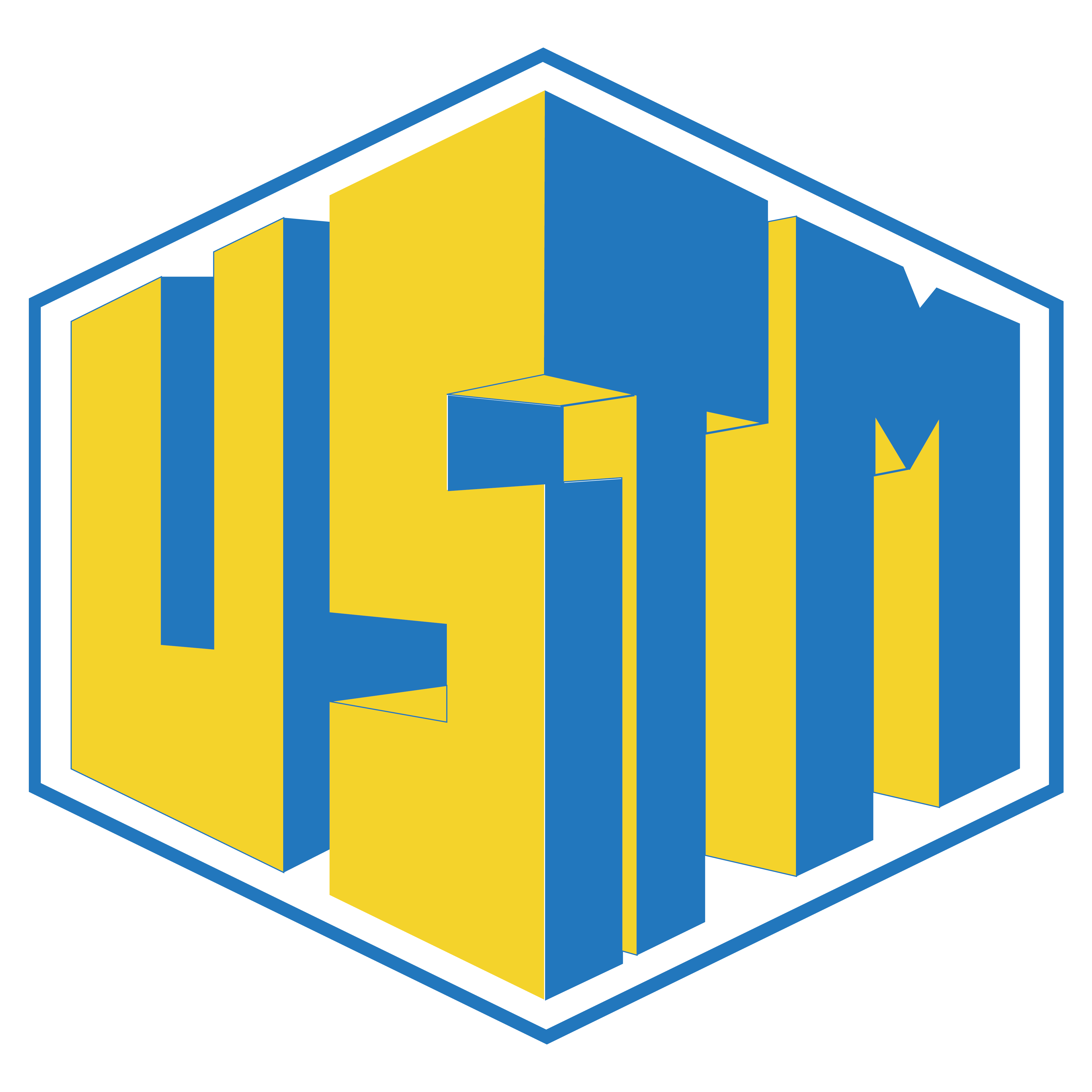 Logo USTM - Université des Sciences, de la Technologie et de Médecine